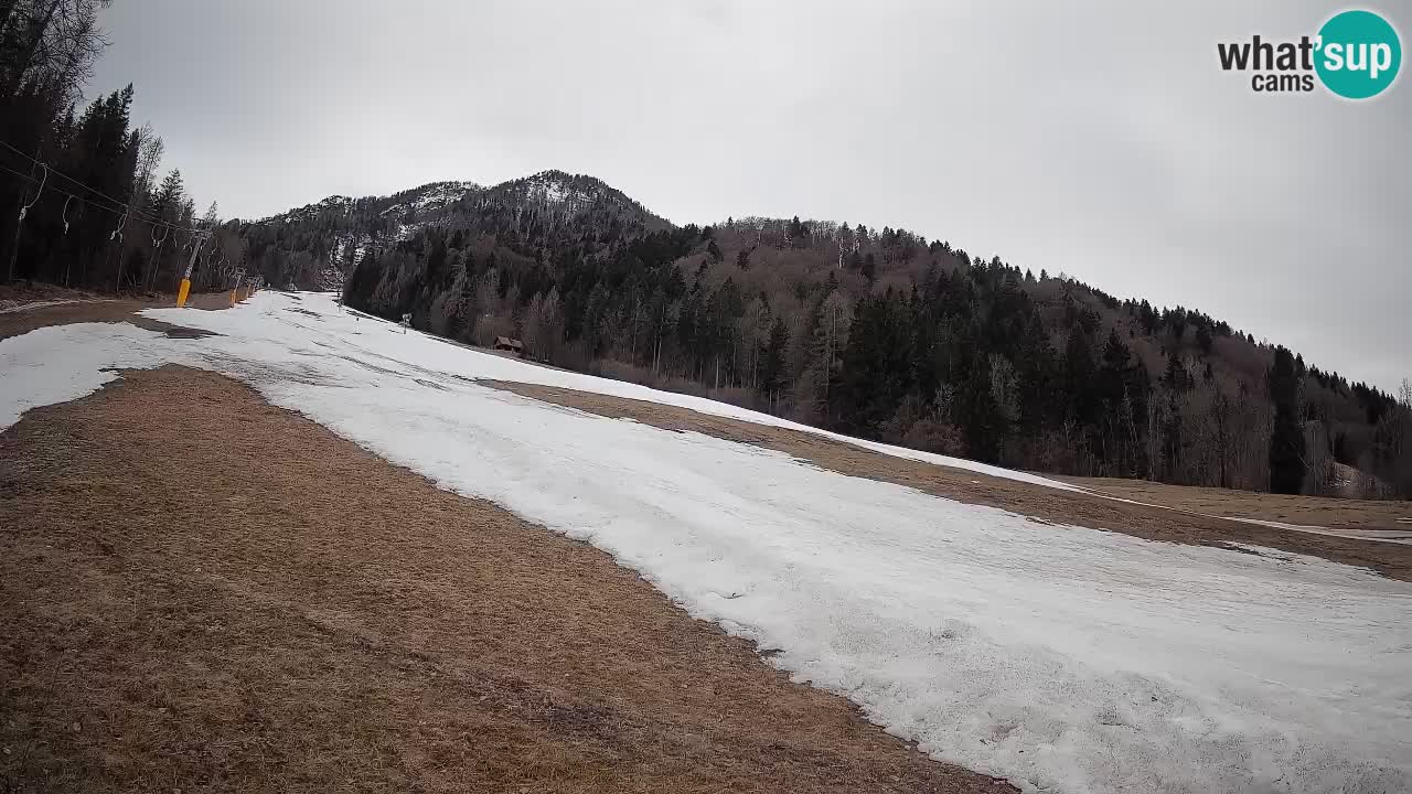 RTC Kranjska Gora | Brsnina