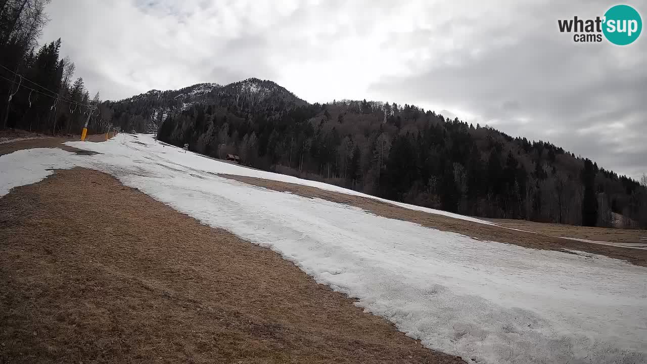 RTC Kranjska Gora | Brsnina