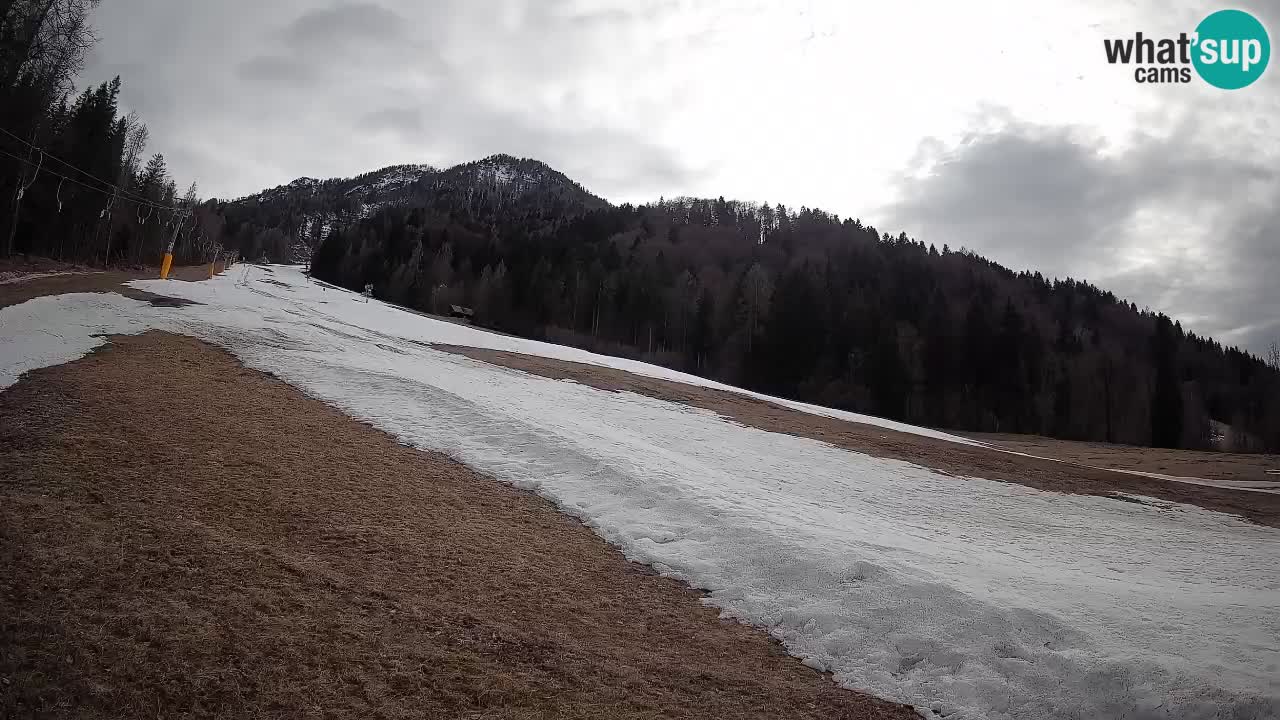 Ski Kranjska Gora | Brsnina