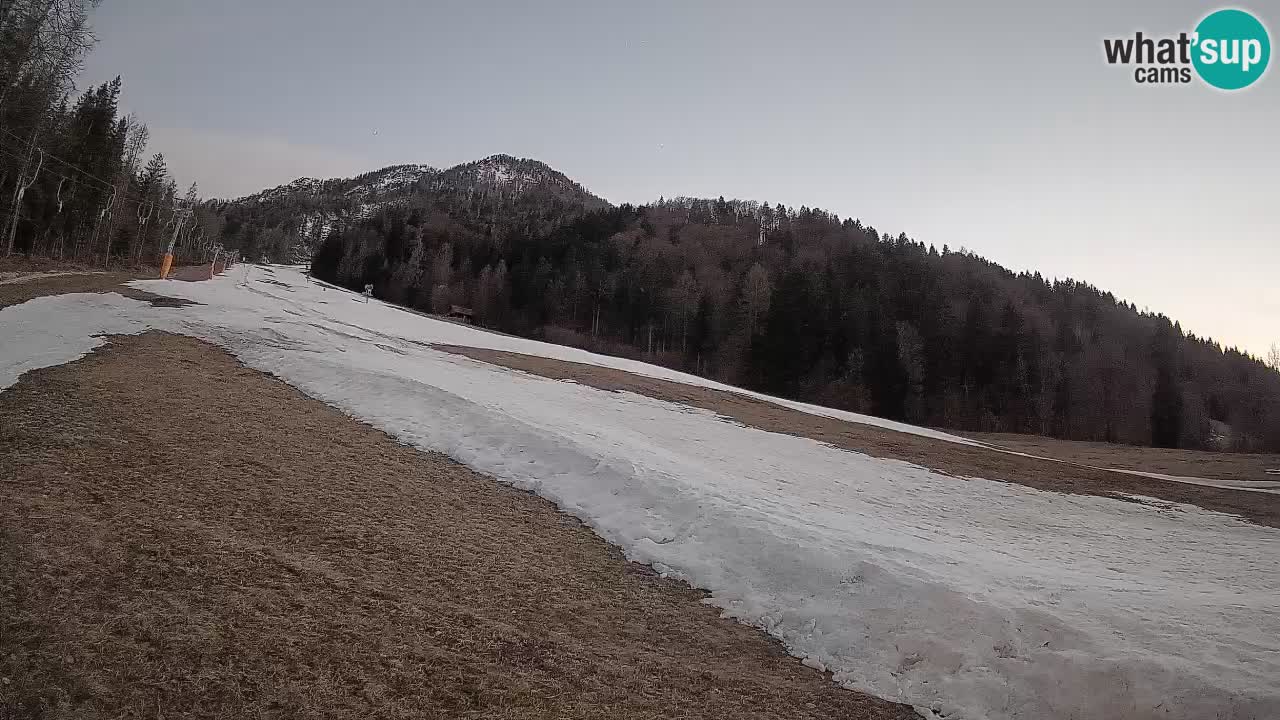 RTC Skigebiet Kranjska Gora | Brsnina