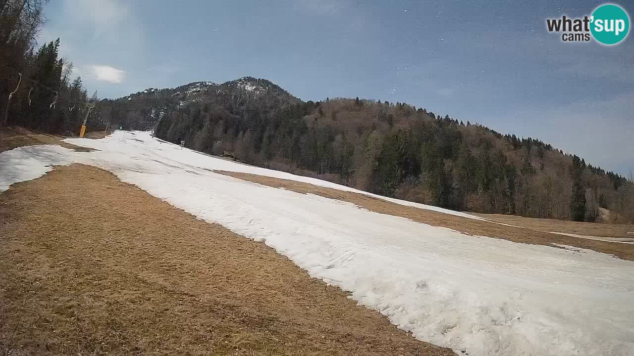 RTC Skigebiet Kranjska Gora | Brsnina