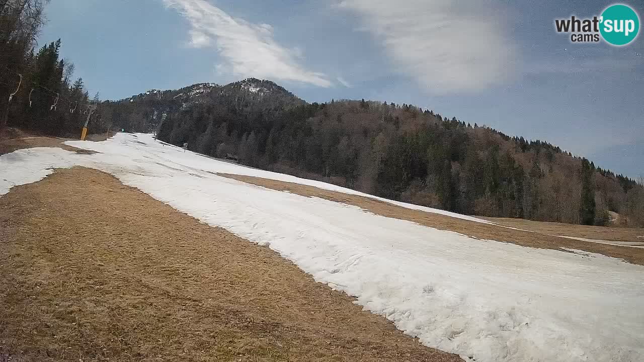 Kranjska Gora Station de ski | Brsnina