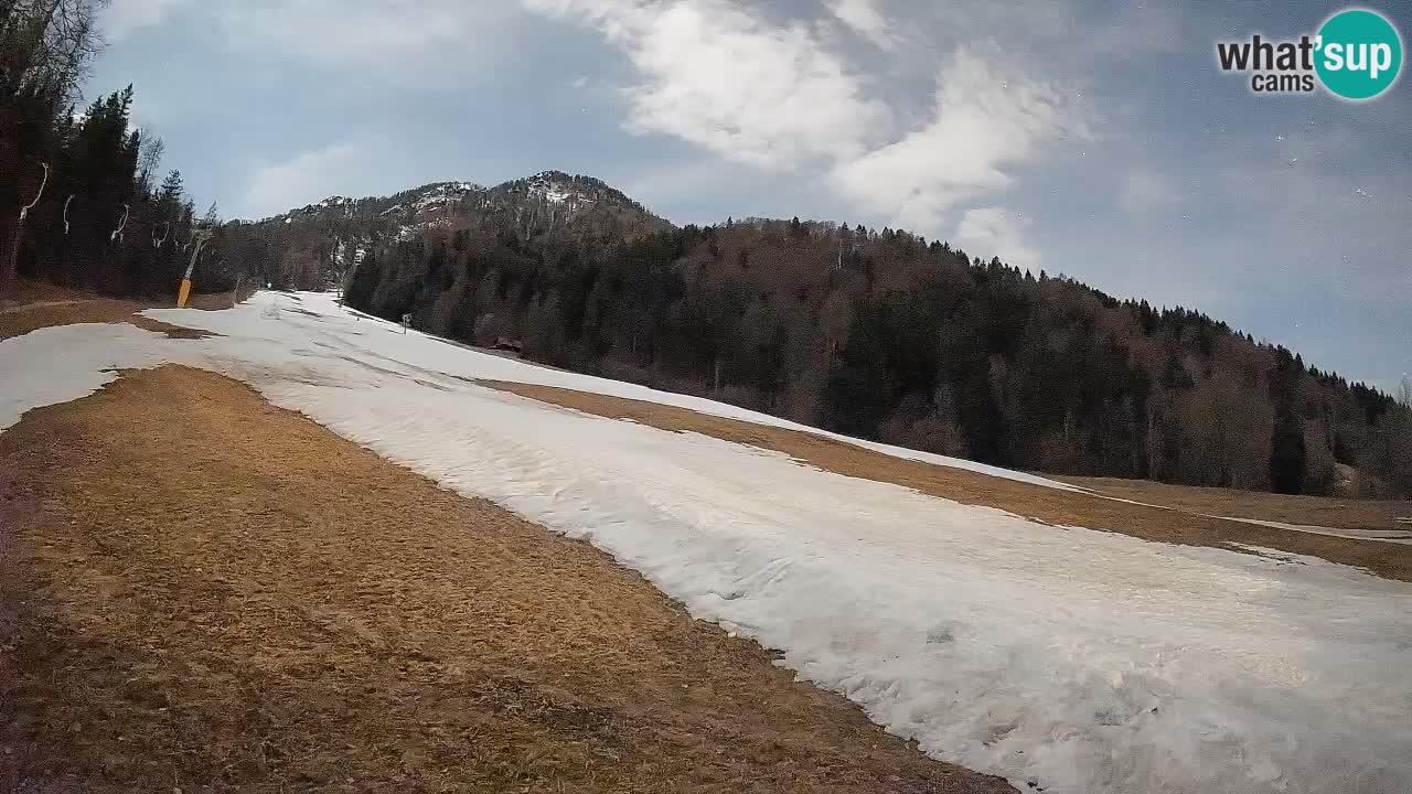 RTC Skigebiet Kranjska Gora | Brsnina