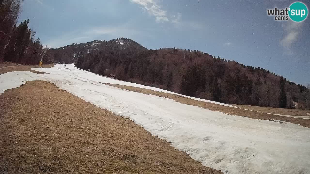 RTC Skigebiet Kranjska Gora | Brsnina