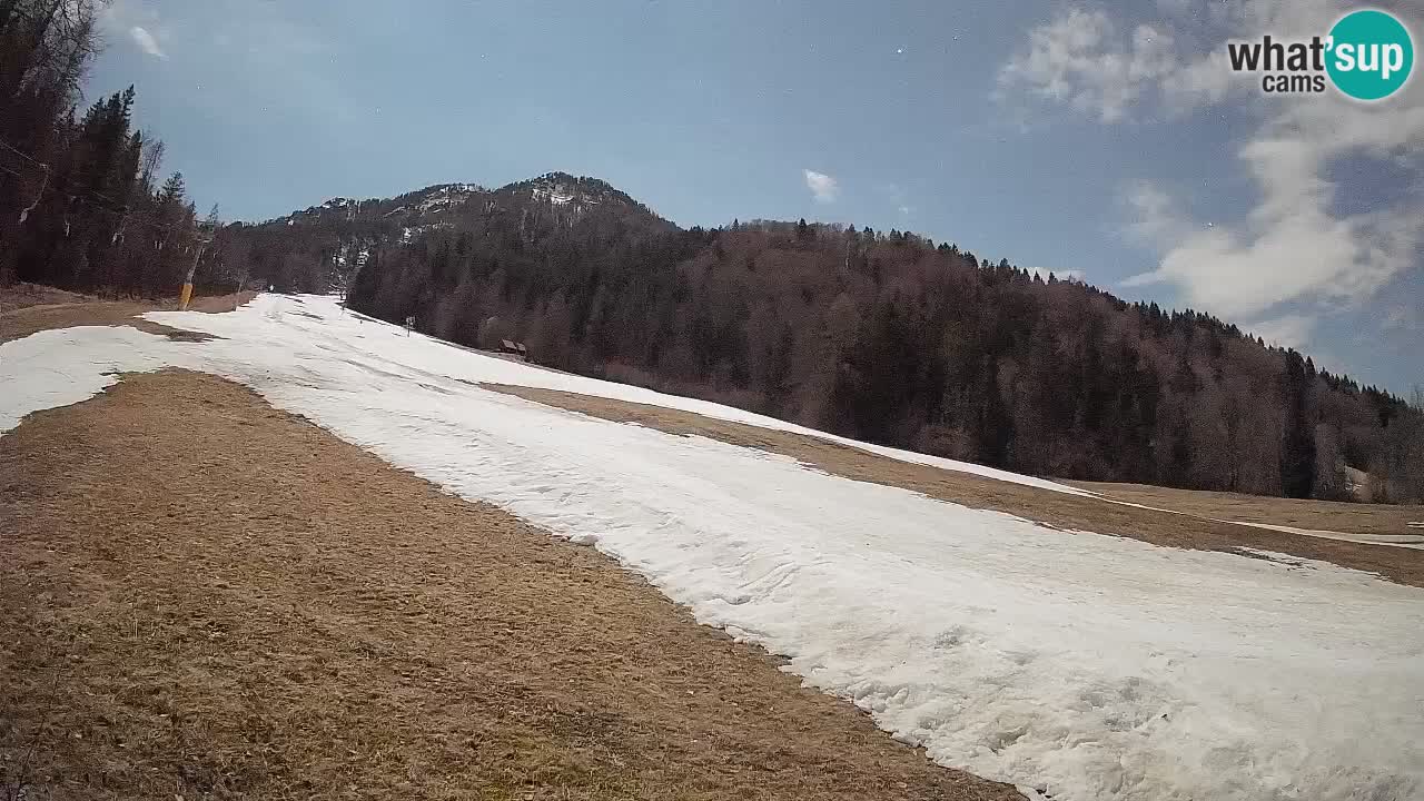 Esquí Kranjska Gora | Brsnina