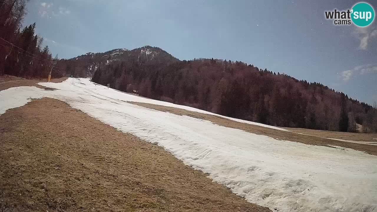Ski Kranjska Gora | Brsnina