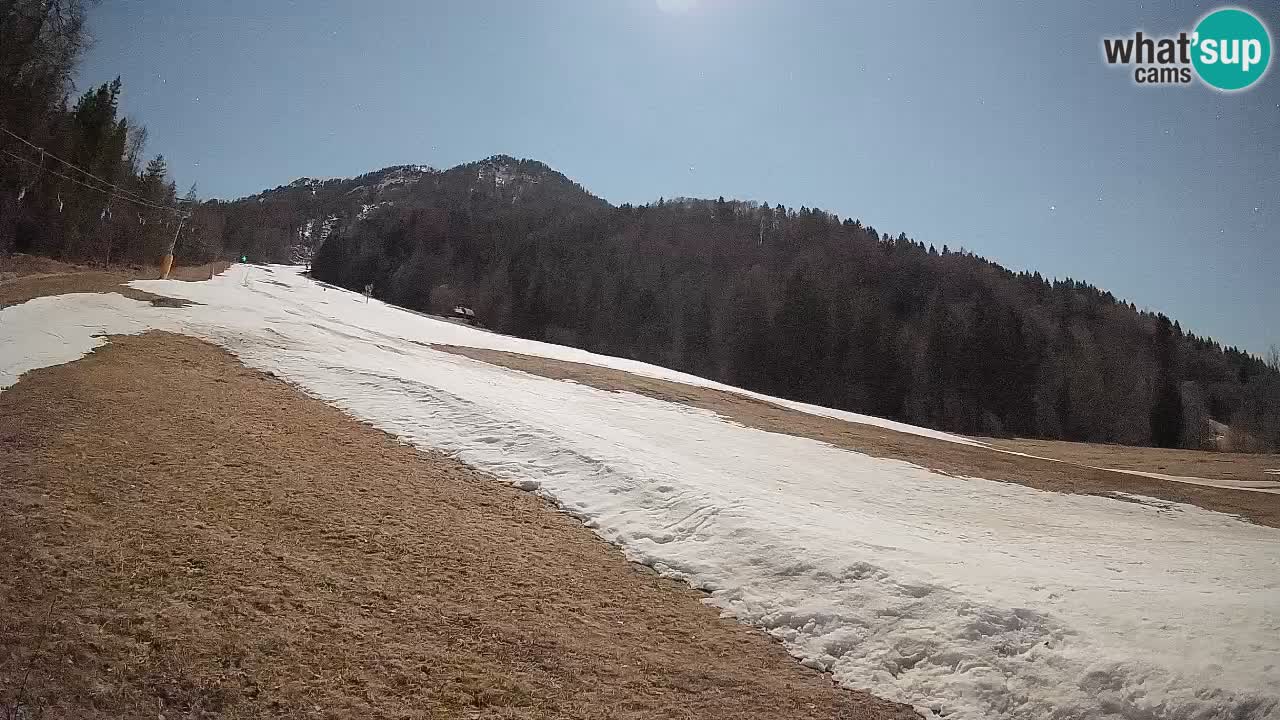 Ski Kranjska Gora | Brsnina