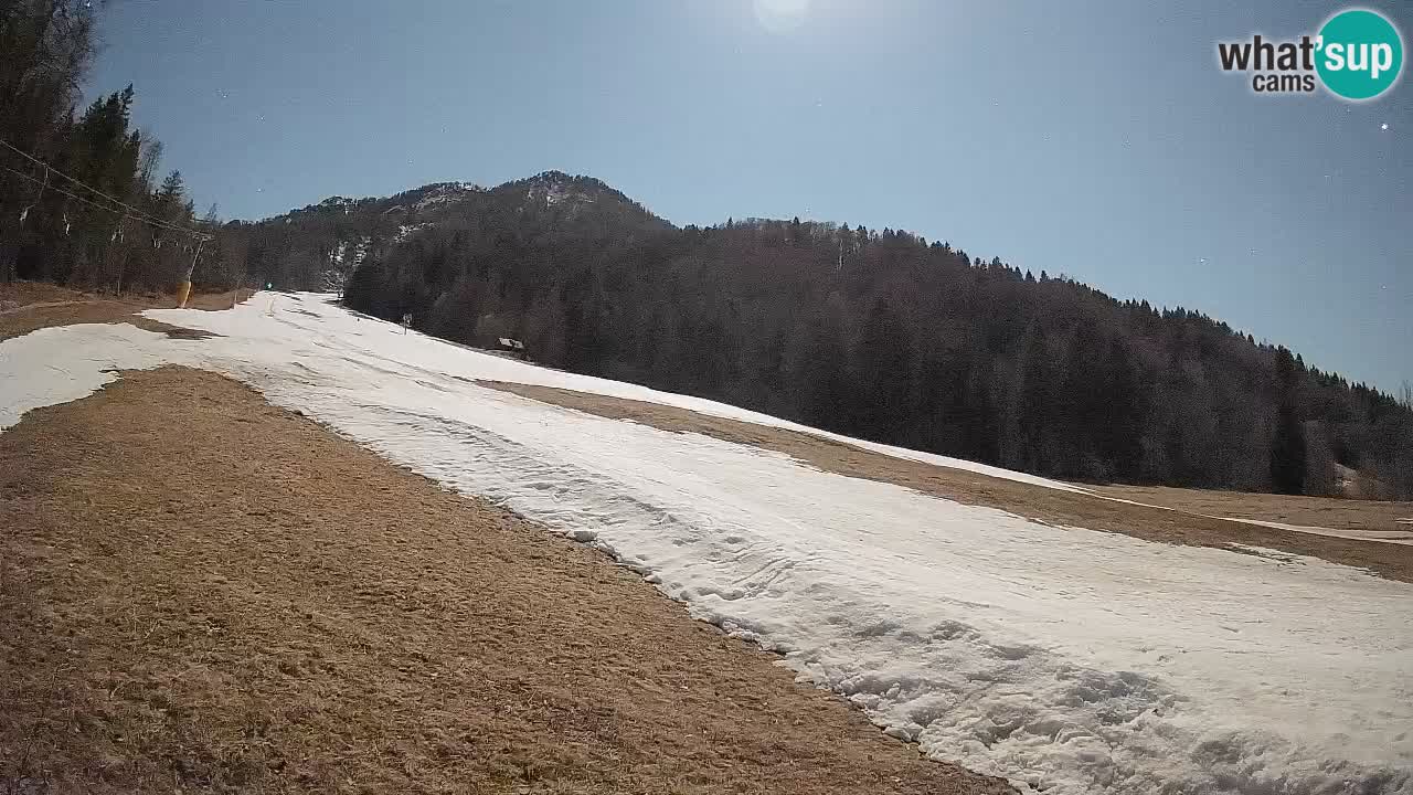 Ski Kranjska Gora | Brsnina