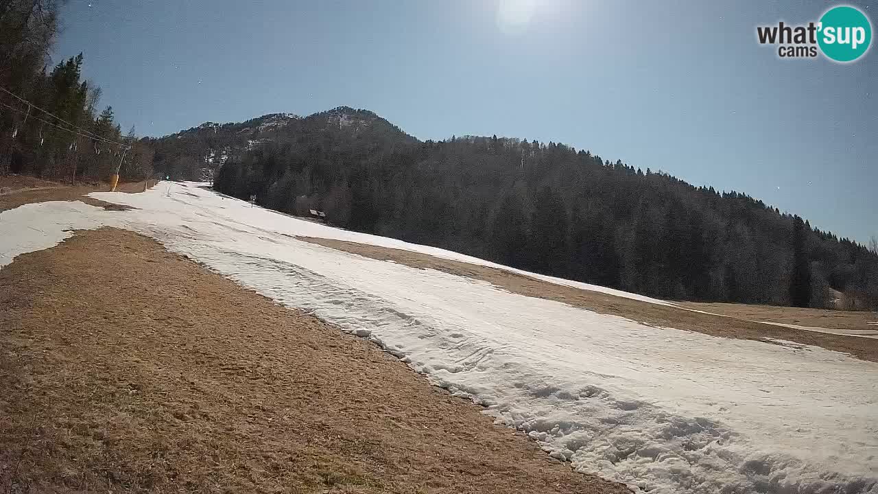 RTC Skigebiet Kranjska Gora | Brsnina