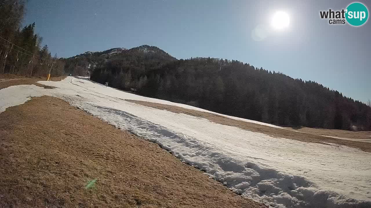 Esquí Kranjska Gora | Brsnina