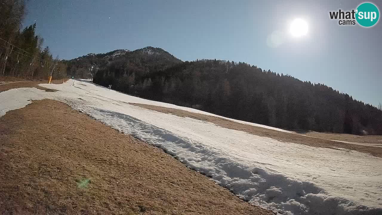Esquí Kranjska Gora | Brsnina