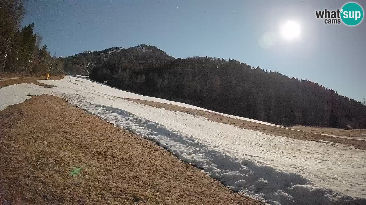 Kranjska Gora SKIJANJE | Brsnina