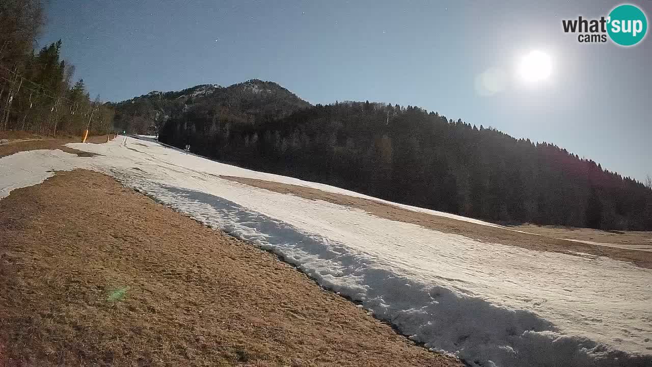 Kranjska Gora SKIJANJE | Brsnina