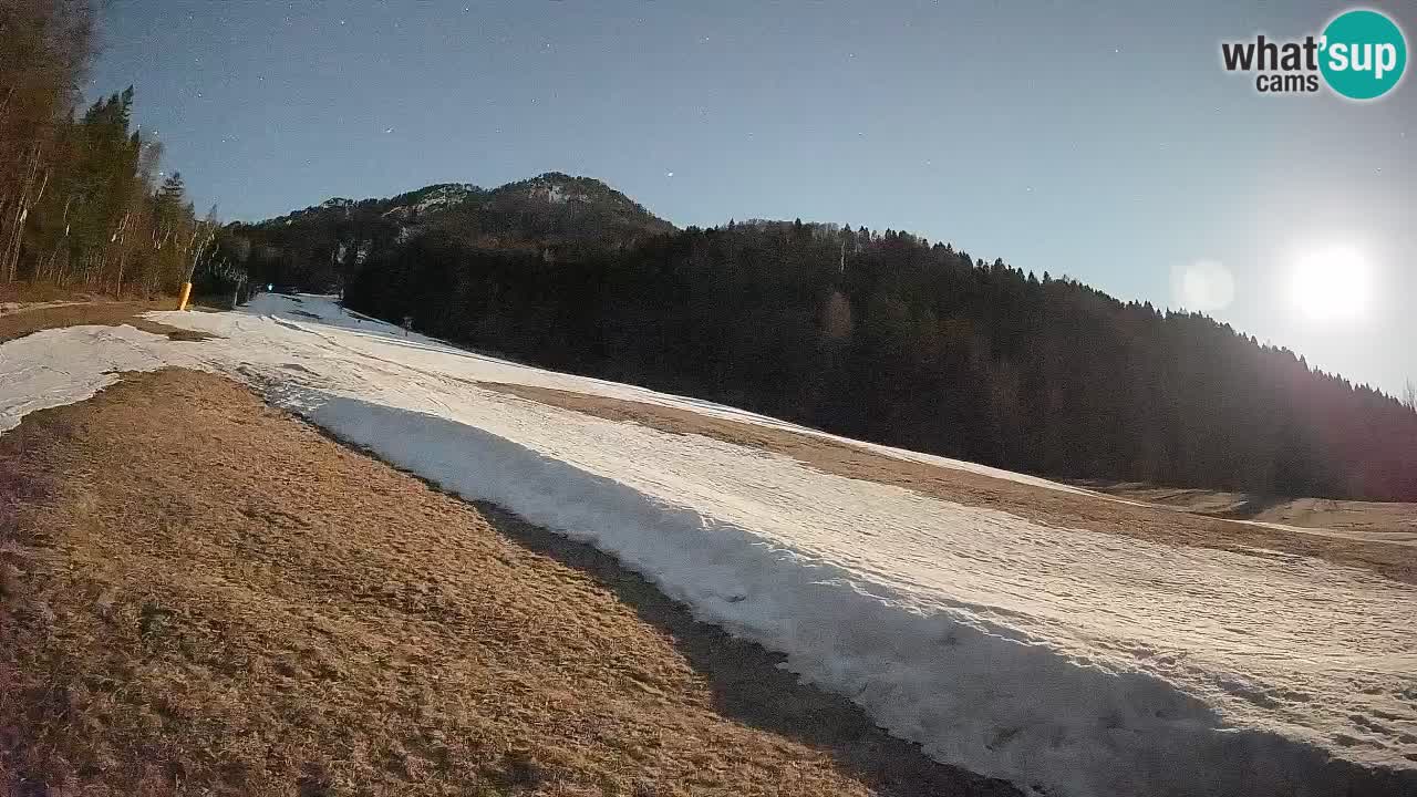 Esquí Kranjska Gora | Brsnina