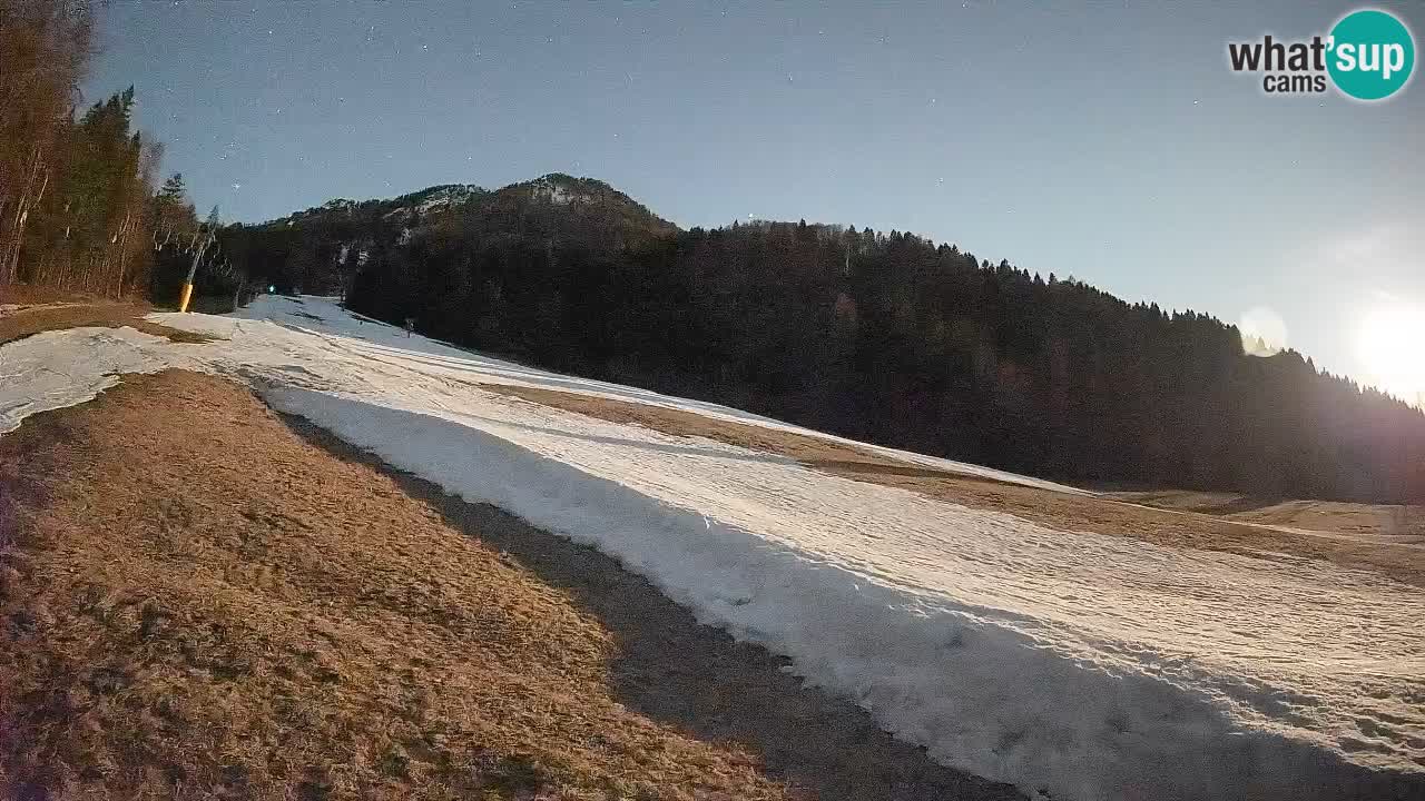 Esquí Kranjska Gora | Brsnina