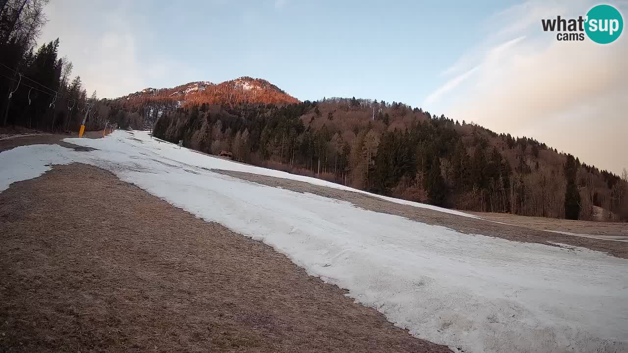 Ski Kranjska Gora | Brsnina