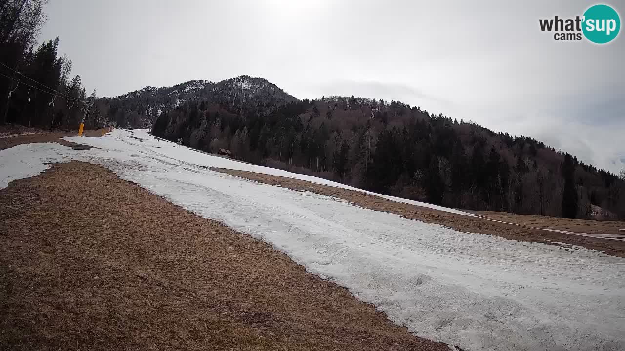 RTC Skigebiet Kranjska Gora | Brsnina