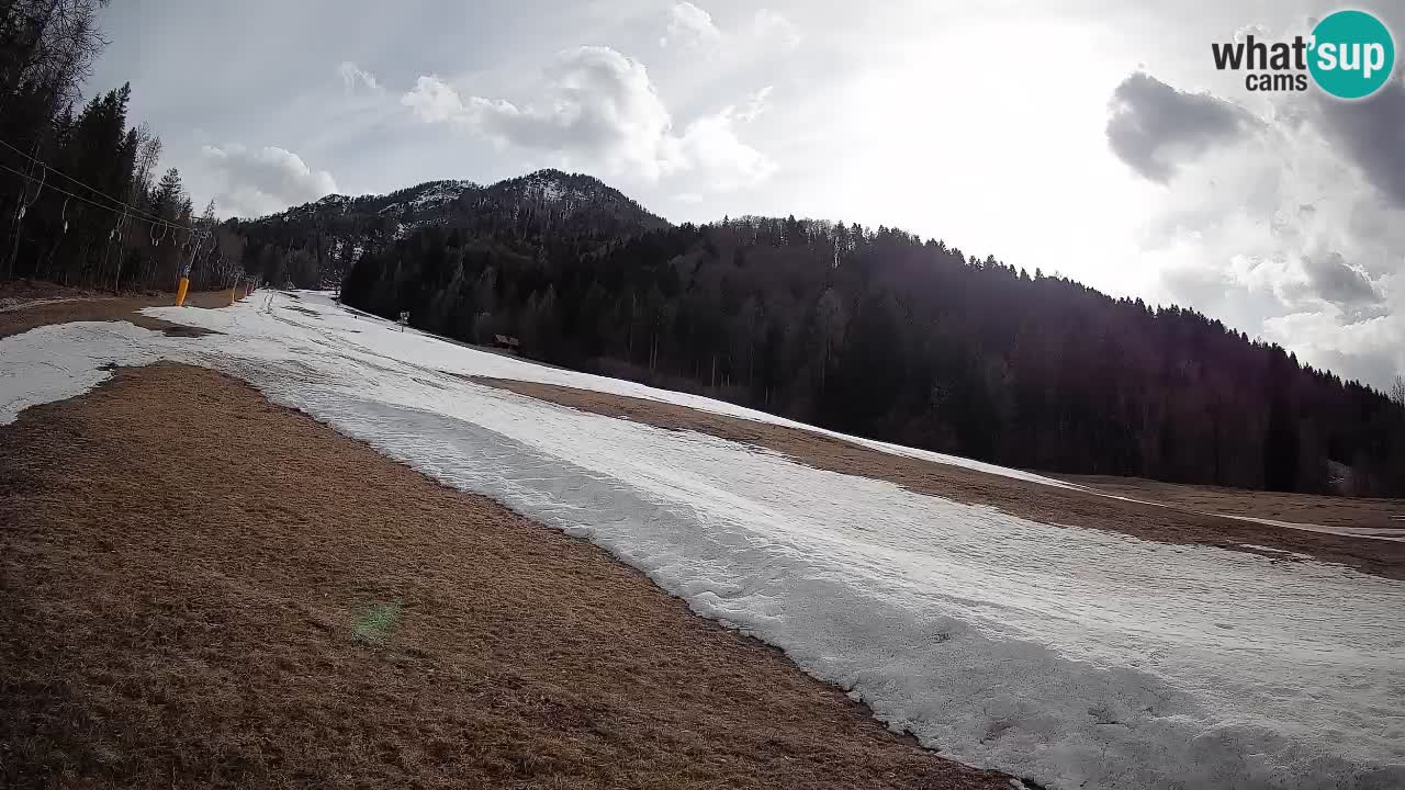 RTC Skigebiet Kranjska Gora | Brsnina