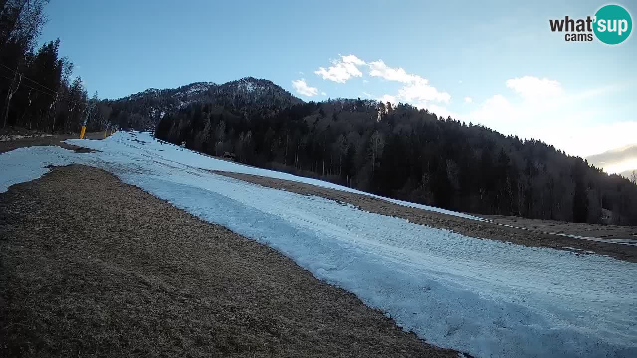 Kranjska Gora Station de ski | Brsnina