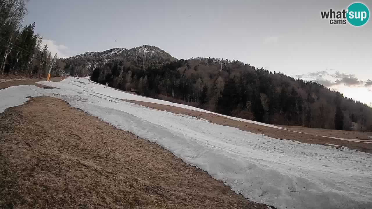 Ski Kranjska Gora | Brsnina