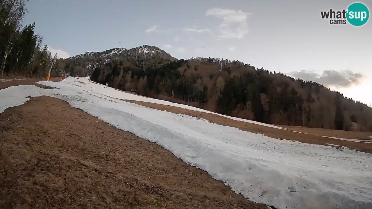 Ski Kranjska Gora | Brsnina