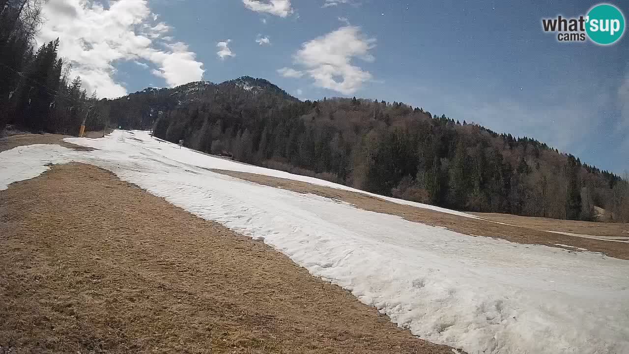 Ski Kranjska Gora | Brsnina