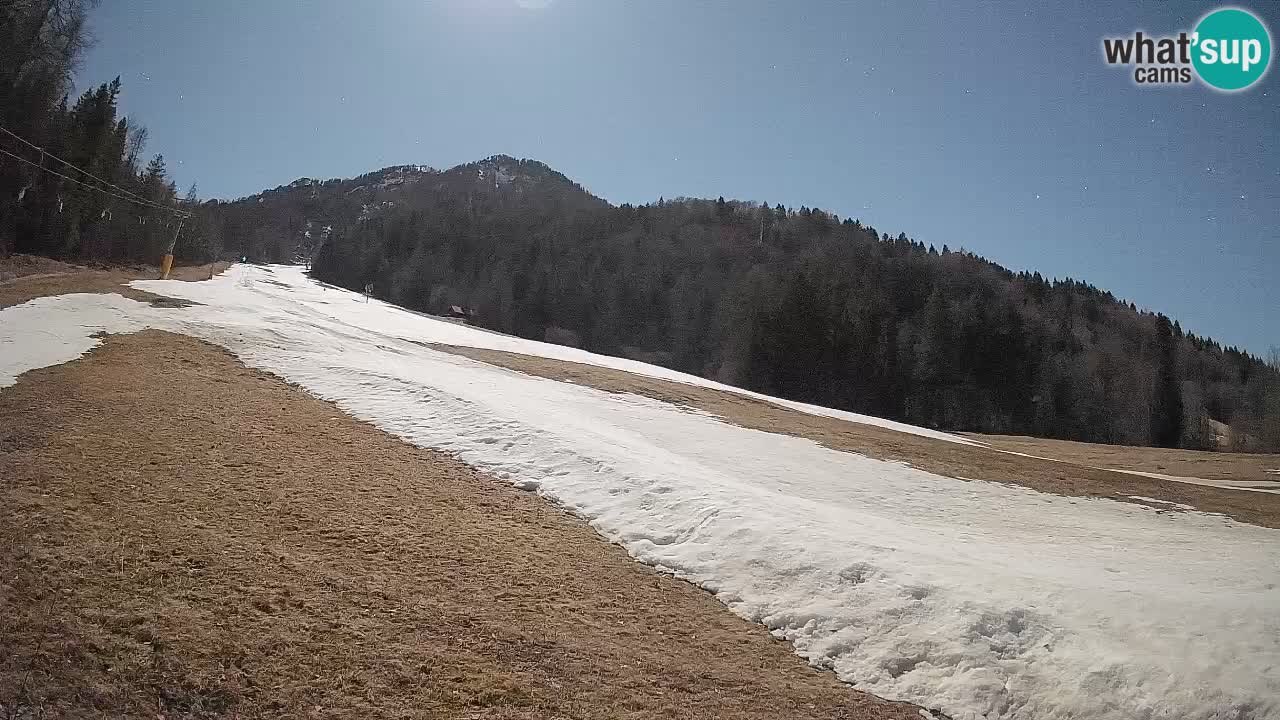 RTC Kranjska Gora | Brsnina