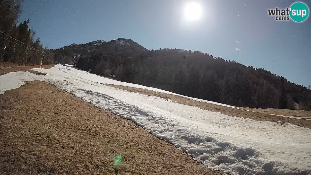 RTC Kranjska Gora | Brsnina