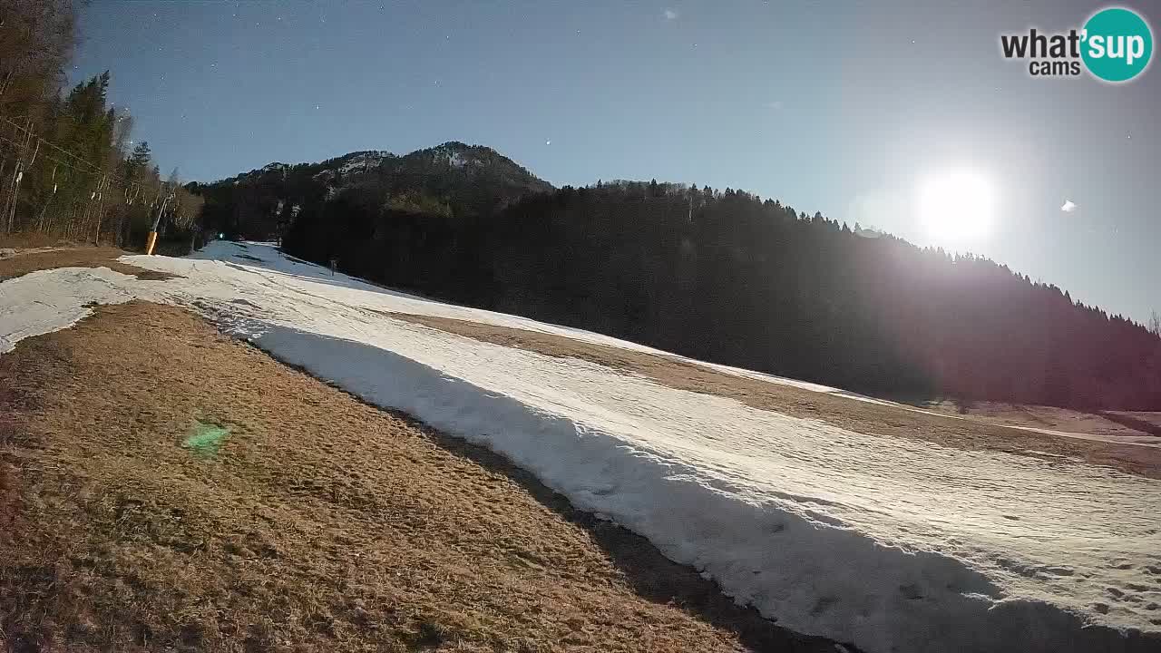 RTC Kranjska Gora | Brsnina