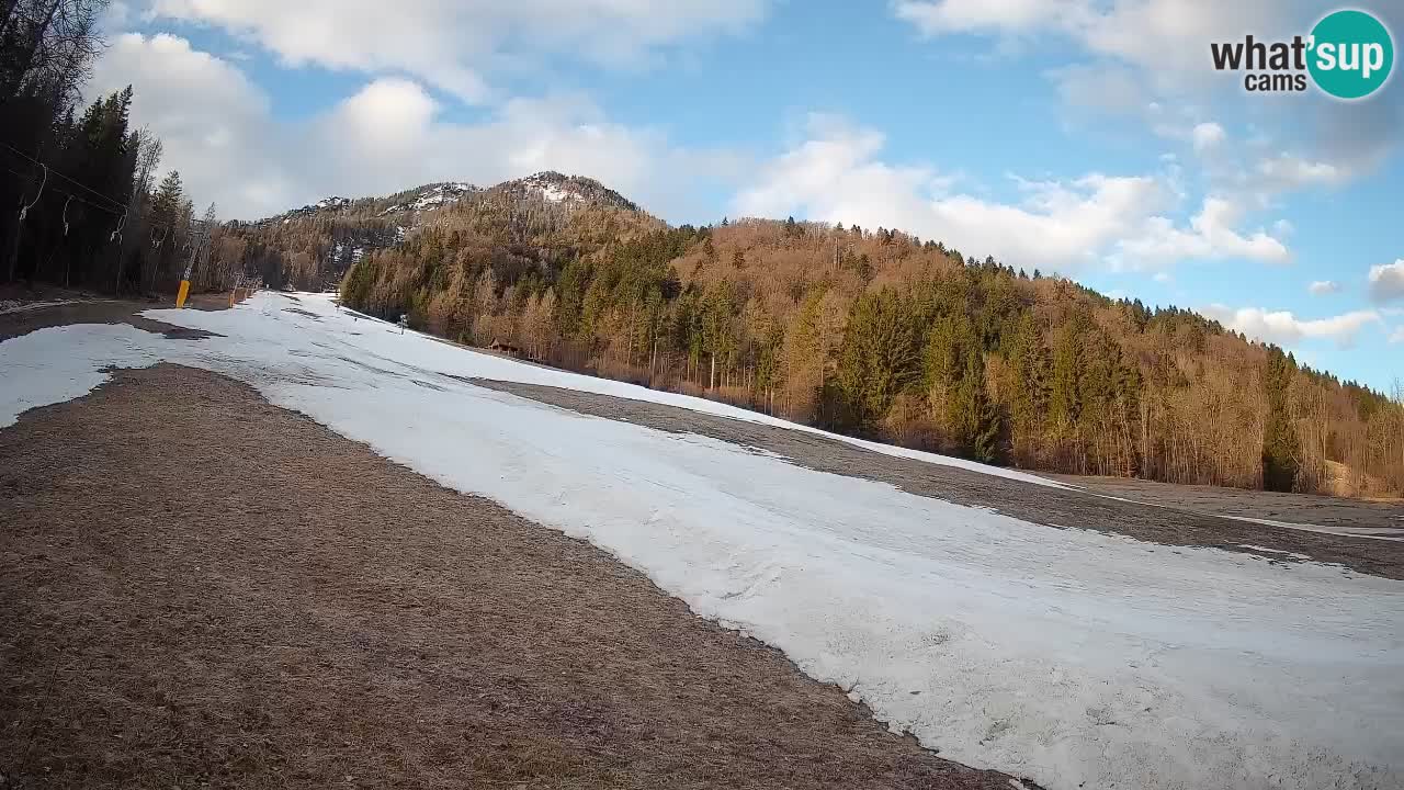 RTC Skigebiet Kranjska Gora | Brsnina