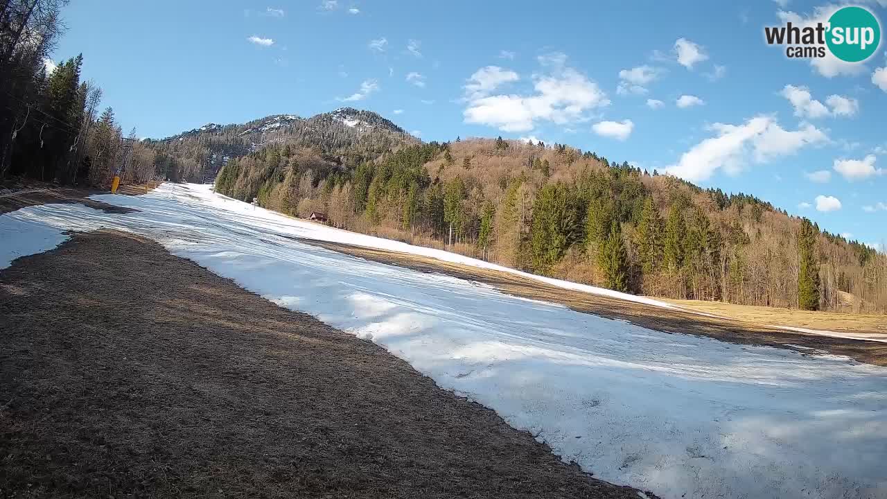RTC Skigebiet Kranjska Gora | Brsnina