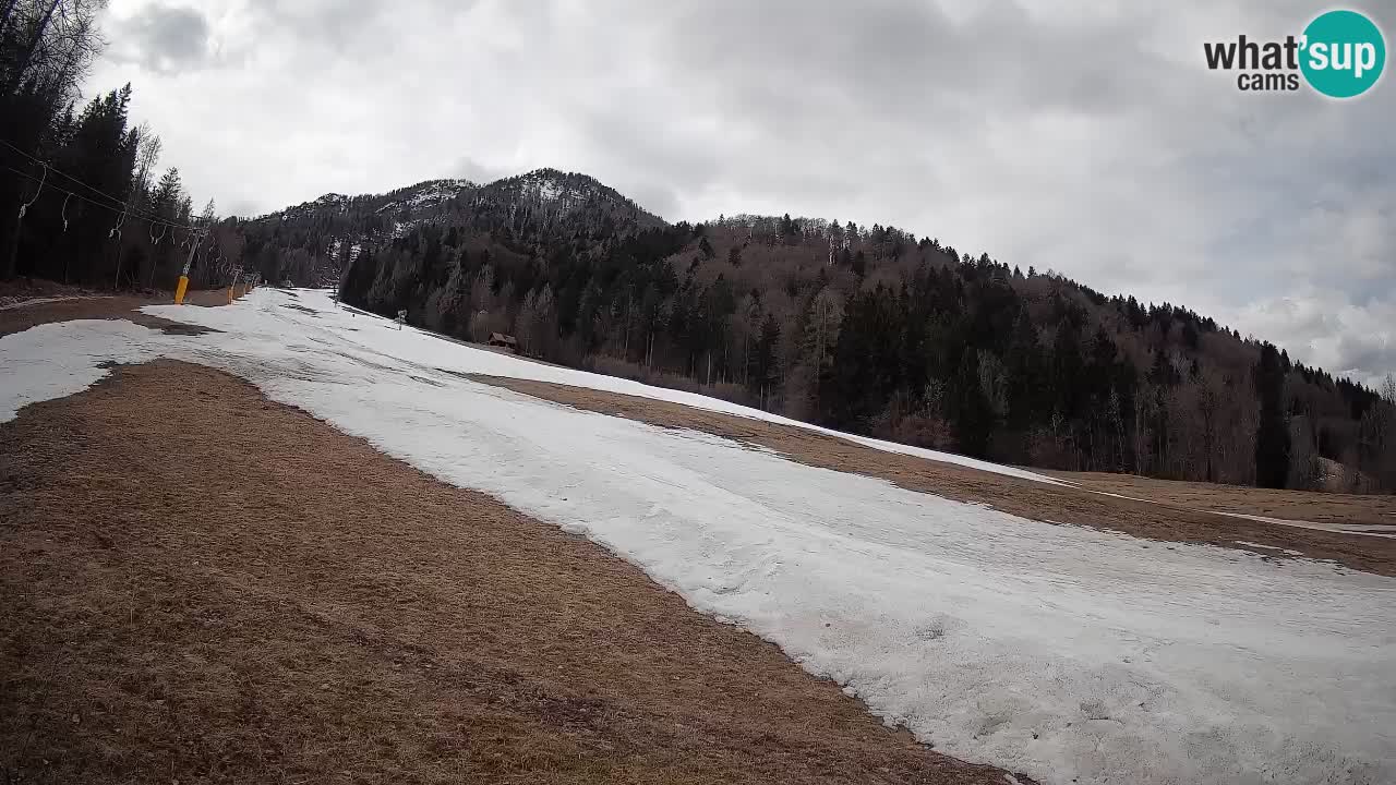 Esquí Kranjska Gora | Brsnina
