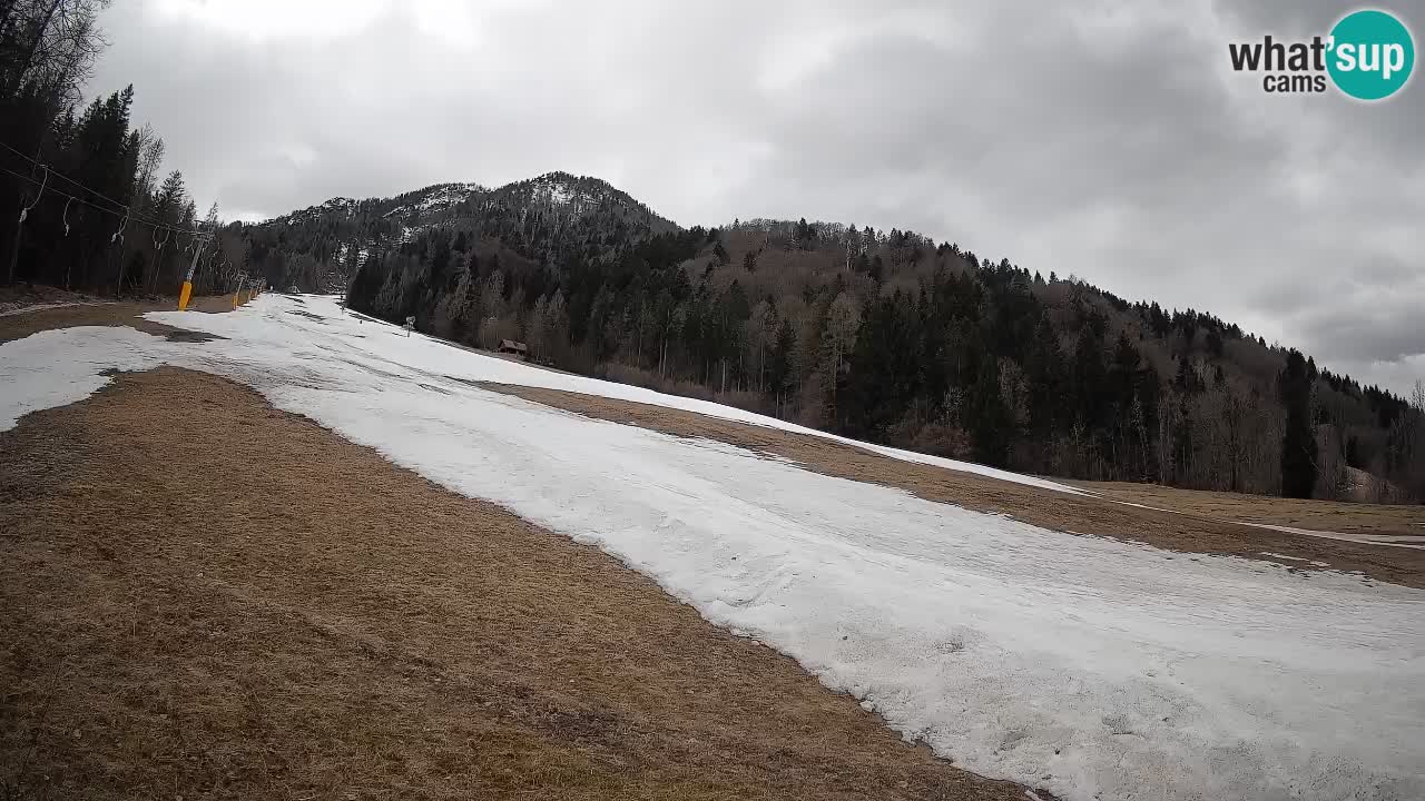 Kranjska Gora SKIJANJE | Brsnina