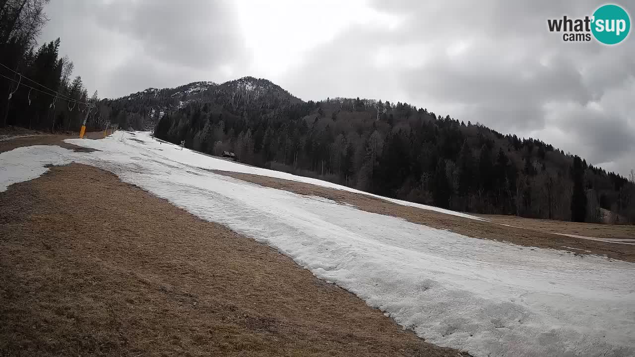 Kranjska Gora SKIJANJE | Brsnina
