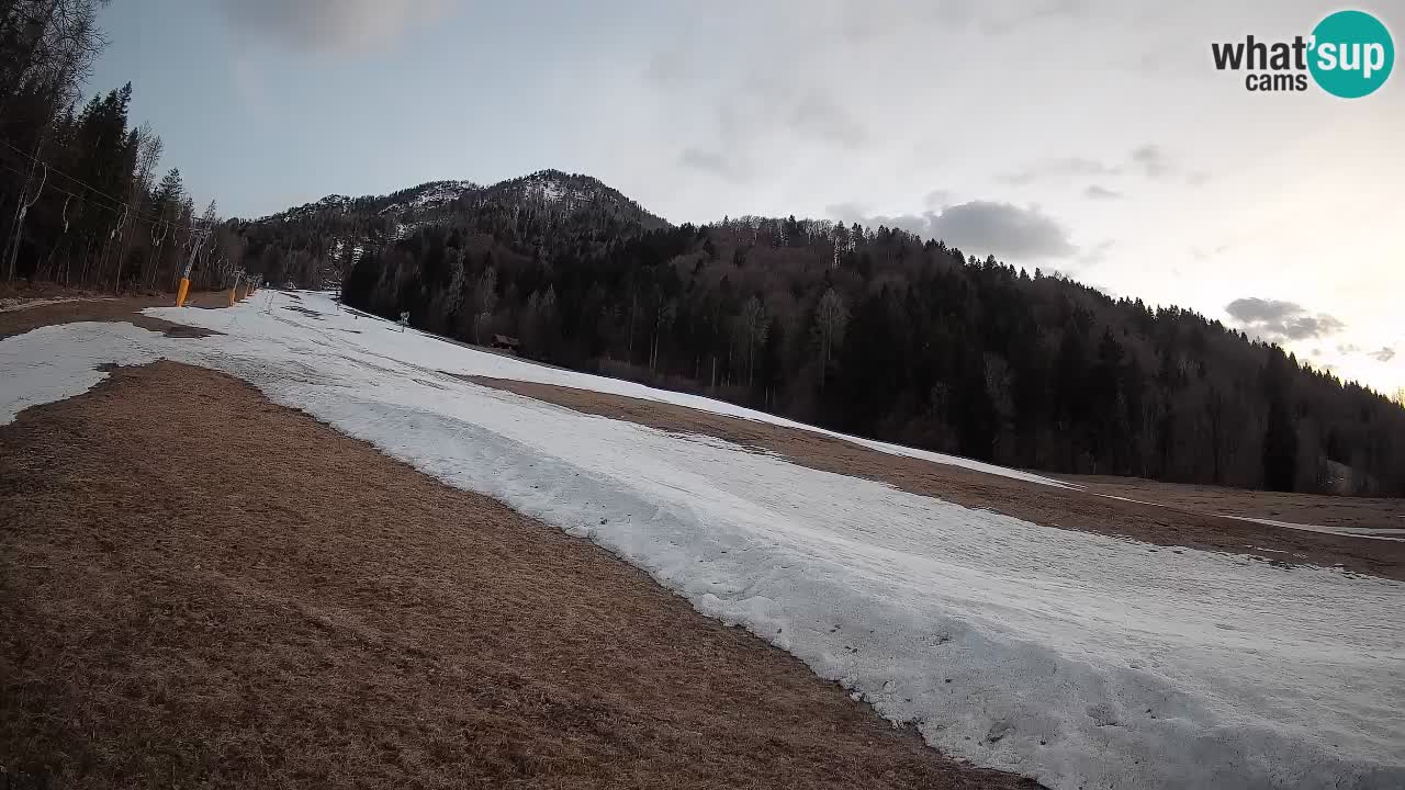 Esquí Kranjska Gora | Brsnina