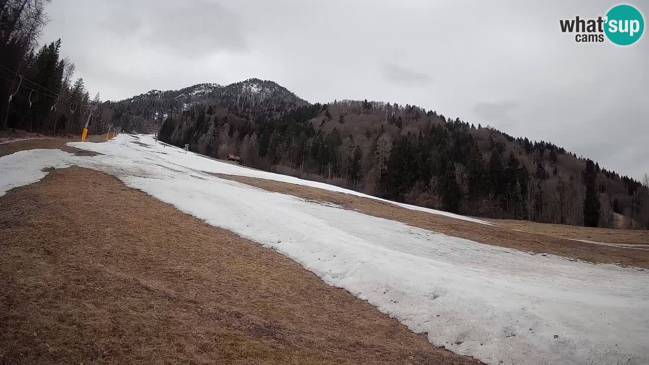 Ski Kranjska Gora | Brsnina