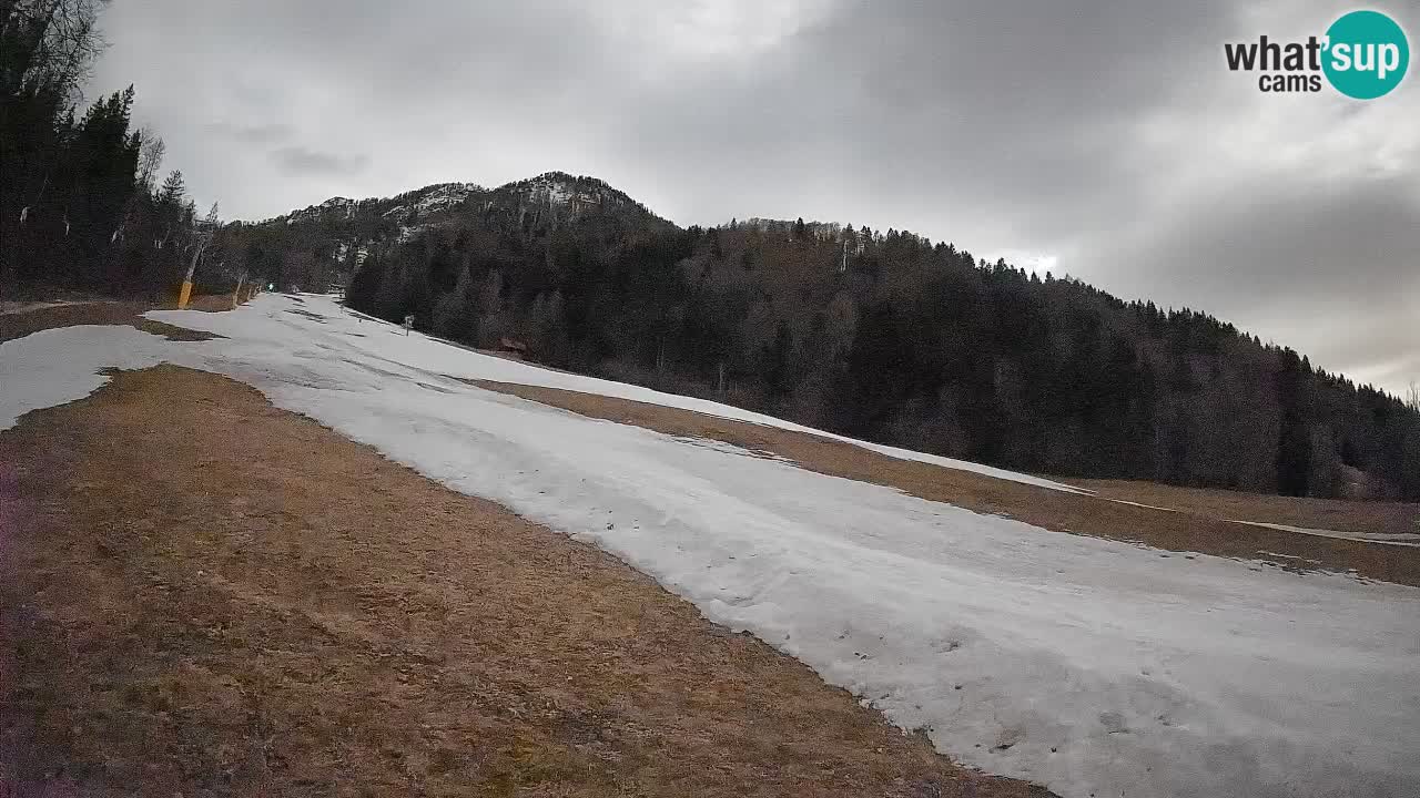 RTC Kranjska Gora | Brsnina