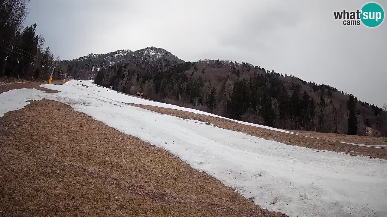 Kranjska Gora Station de ski | Brsnina