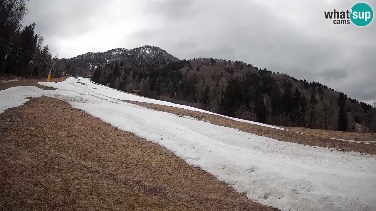 Ski Kranjska Gora | Brsnina