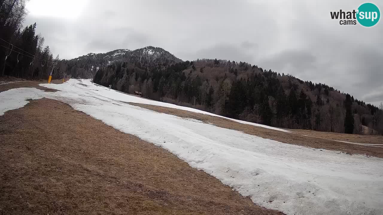 Kranjska Gora Station de ski | Brsnina