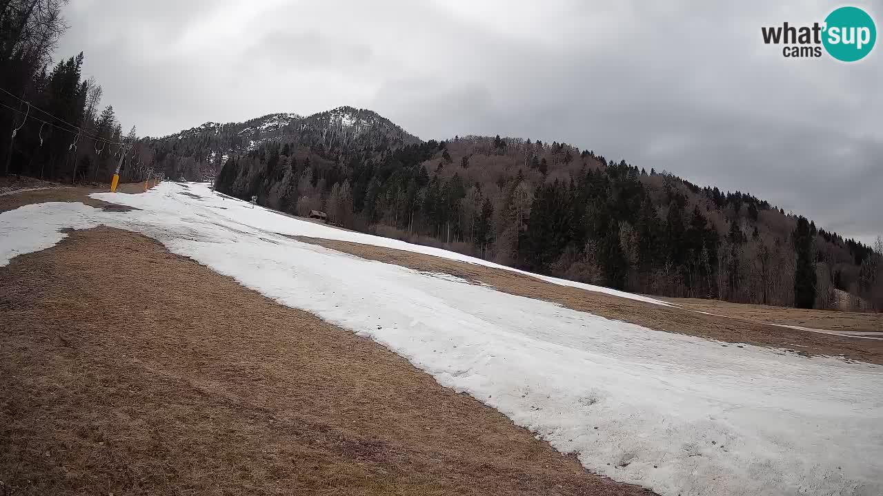 RTC Skigebiet Kranjska Gora | Brsnina