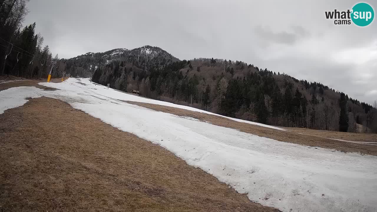 RTC Skigebiet Kranjska Gora | Brsnina