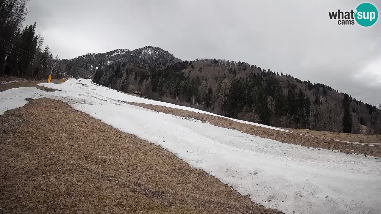 Ski Kranjska Gora | Brsnina