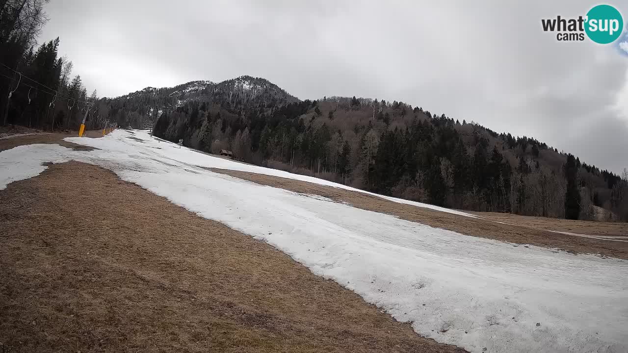 Ski Kranjska Gora | Brsnina