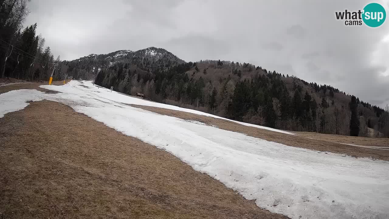 RTC Skigebiet Kranjska Gora | Brsnina