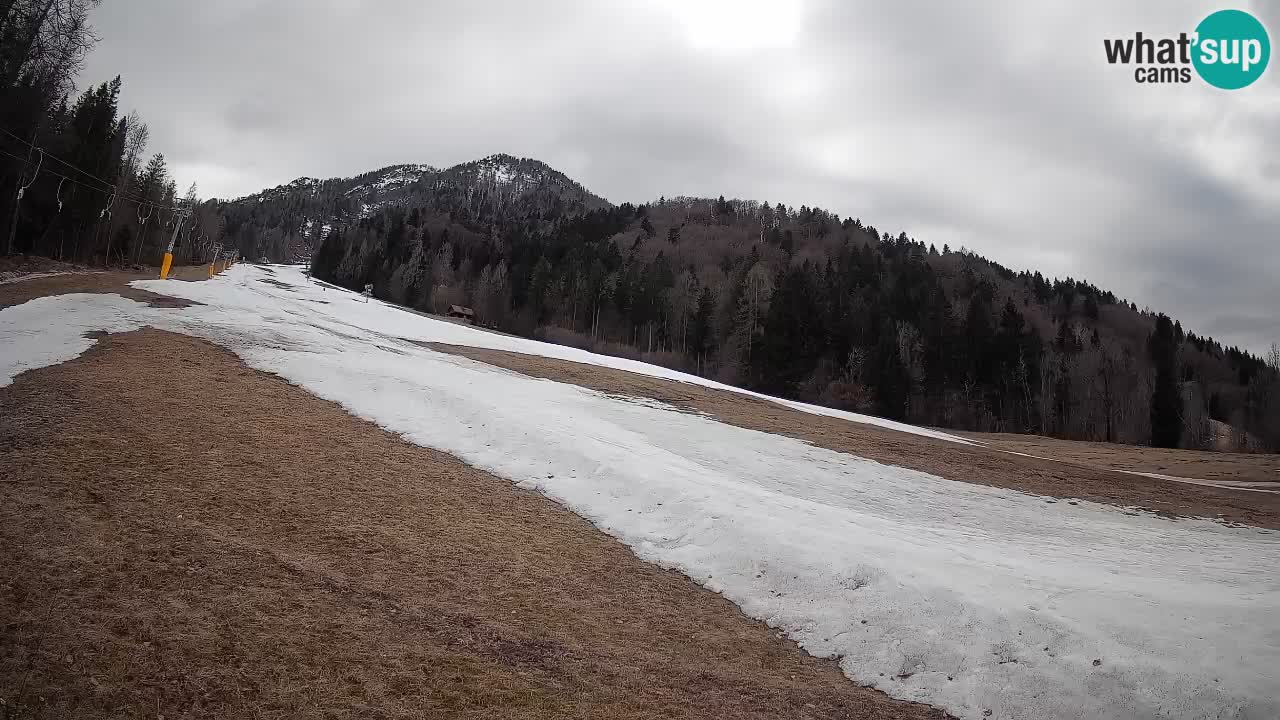 RTC Skigebiet Kranjska Gora | Brsnina
