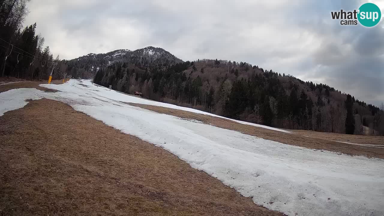 Ski Kranjska Gora | Brsnina