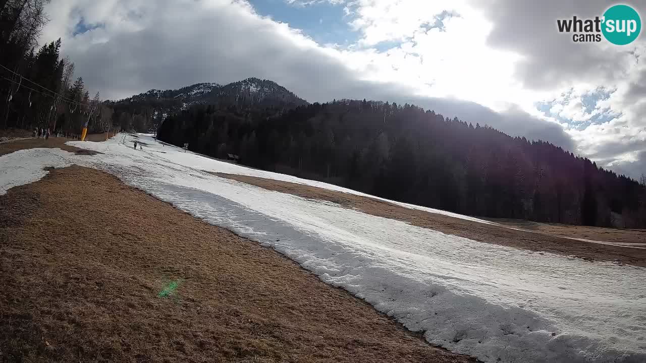 RTC Kranjska Gora | Brsnina