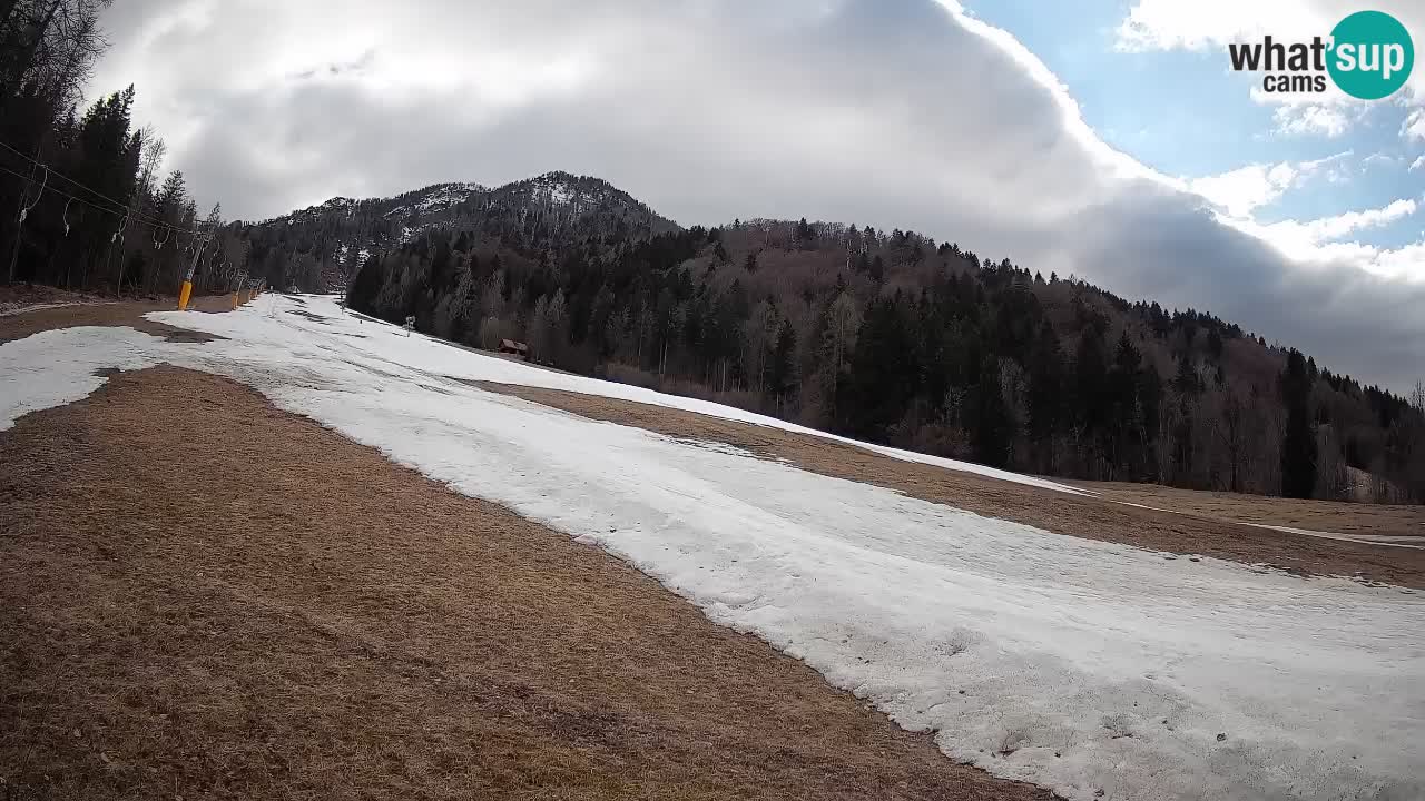 RTC Skigebiet Kranjska Gora | Brsnina