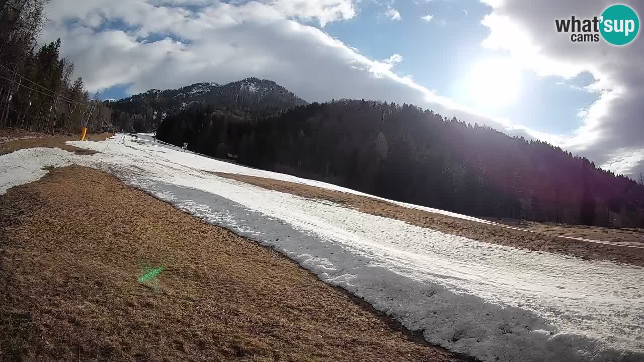 RTC Skigebiet Kranjska Gora | Brsnina